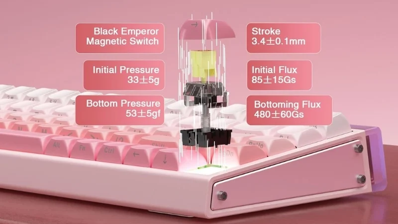 Bàn phím AULA HERO 68 HE Hồng Gradient - Black King Magnetic Switch - Ảnh 5