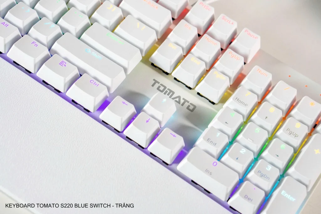 Bàn Phím Cơ Tomato S220 Trắng Đen Blue Switch LED - Ảnh 5